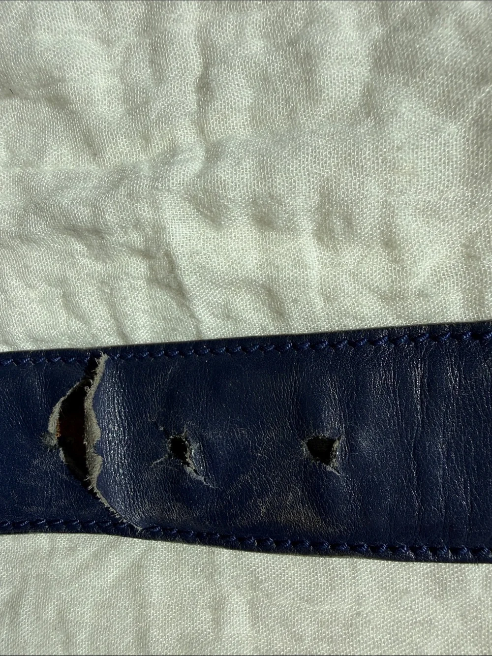 Gucci Navy Web Belt with Silver Double G Buckle